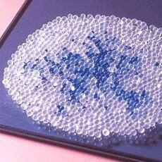 Silica Gel (Kukdong Korea)